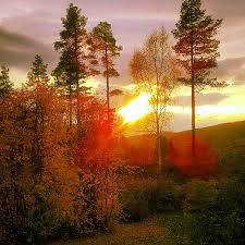 Høsten på Bjønnåsen